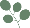 eucalyptol