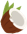 coconut